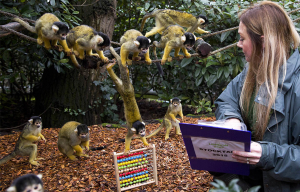 Zoos use microchips