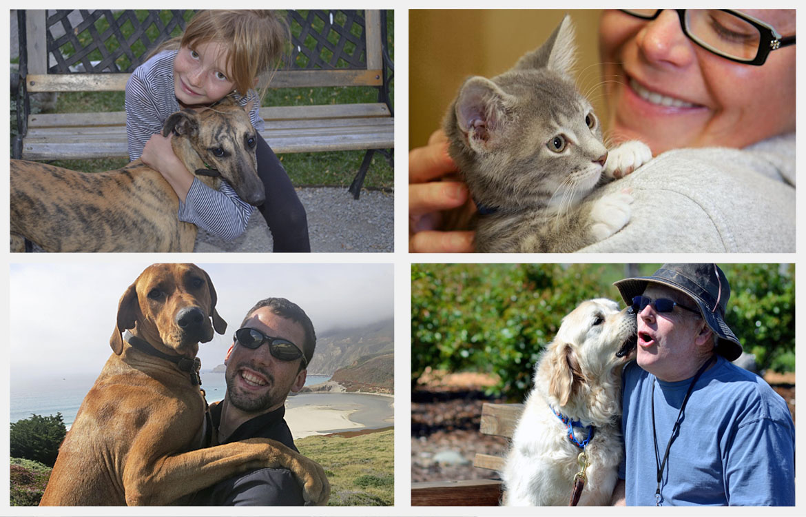 Reunited-pets Registered microchips bring pets home